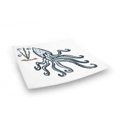 Improntabarre Polipo flat...