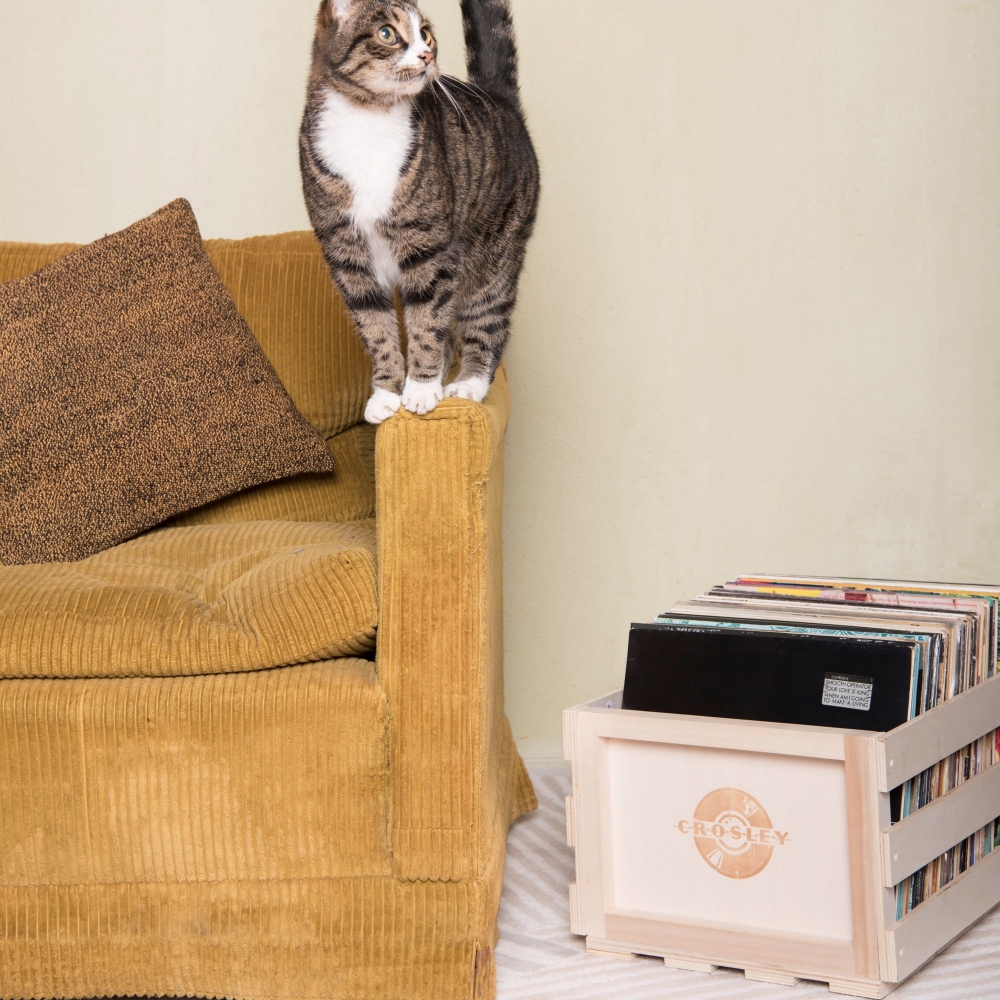 Crosley Contenitore per vinili