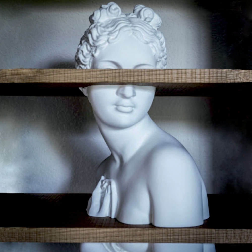 Driade Venus Libreria