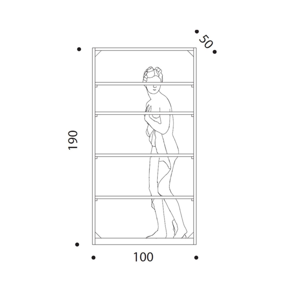Driade Venus Libreria