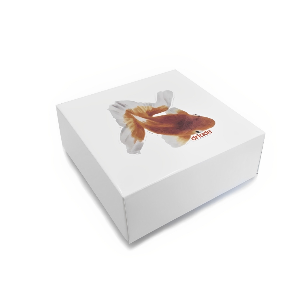 Pronta Consegna - Driade Servizio 6 piatti The White Snow Kingyo