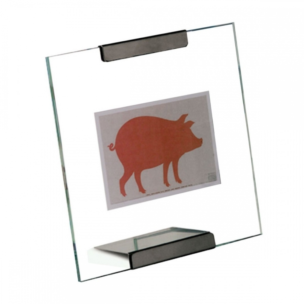 Danese Milano Galapagos photo frame...