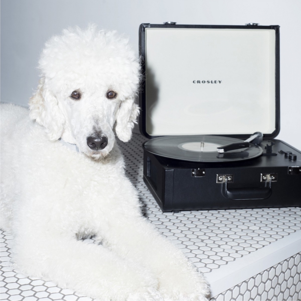 Crosley Giradischi Portfolio Bluetooth