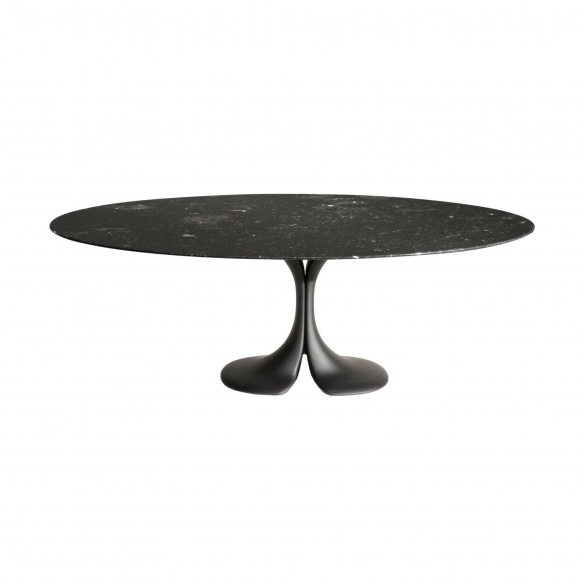 Driade Tavolo Didymos 205x128 cm