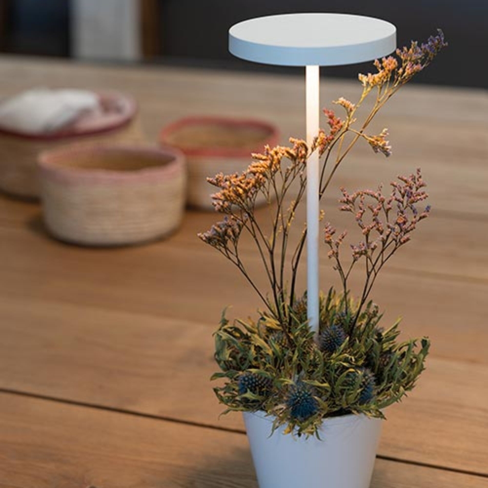 Zafferano Lampada da tavolo Poldina Pro Reverso