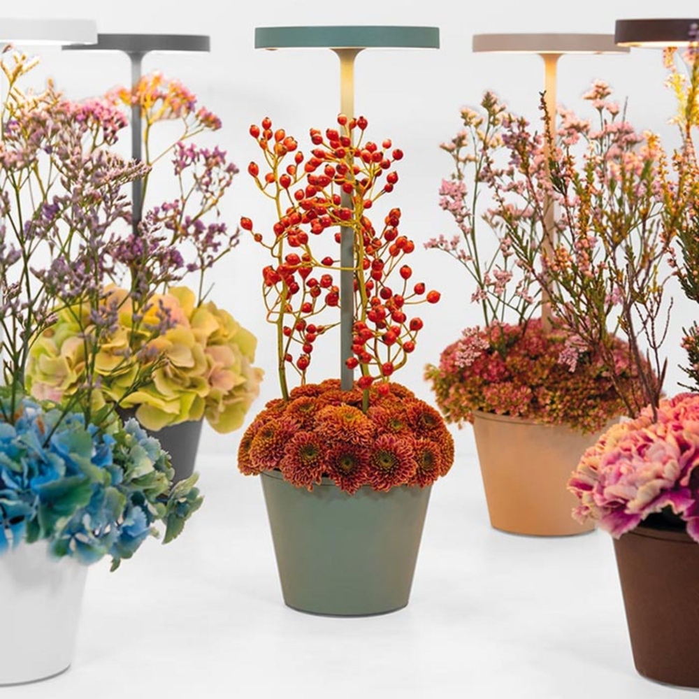 Zafferano Lampada da tavolo Poldina Pro Reverso