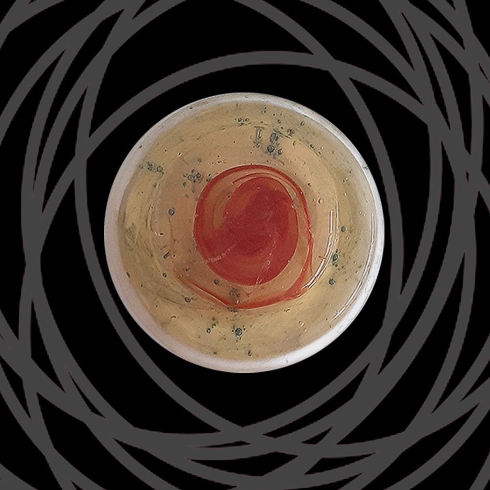 Pictoom Madia 2 ante G-Round