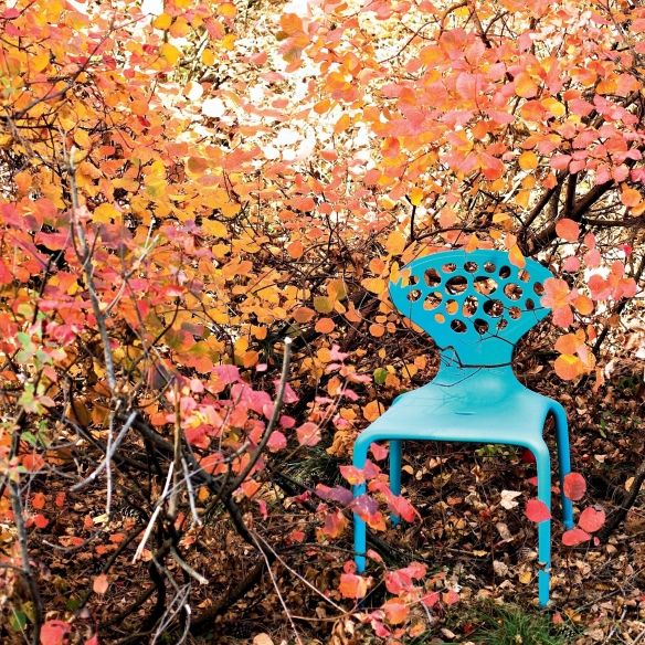 Moroso Sedia con schienale forato Supernatural