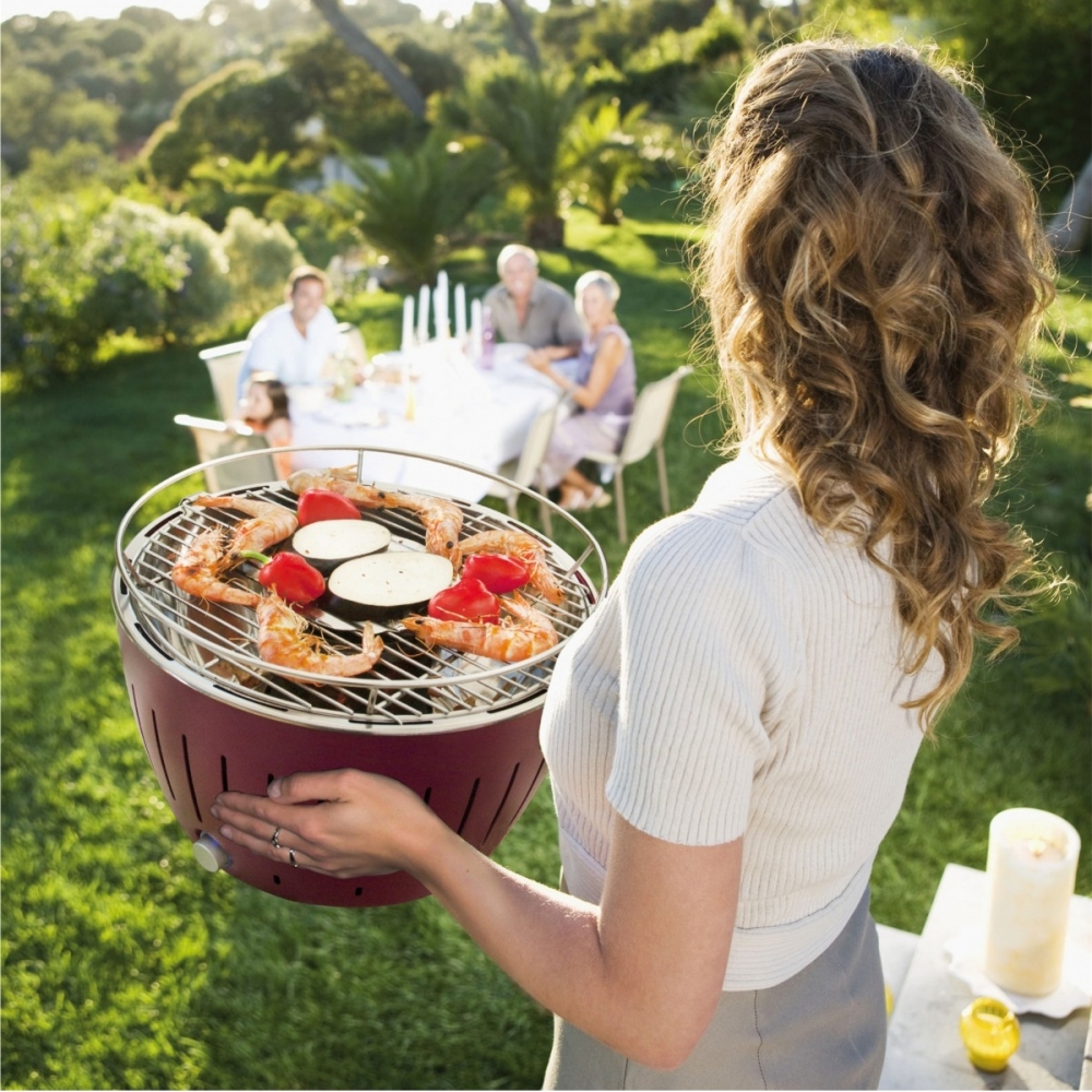 Barbecue A Carbone Lotusgrill Usb