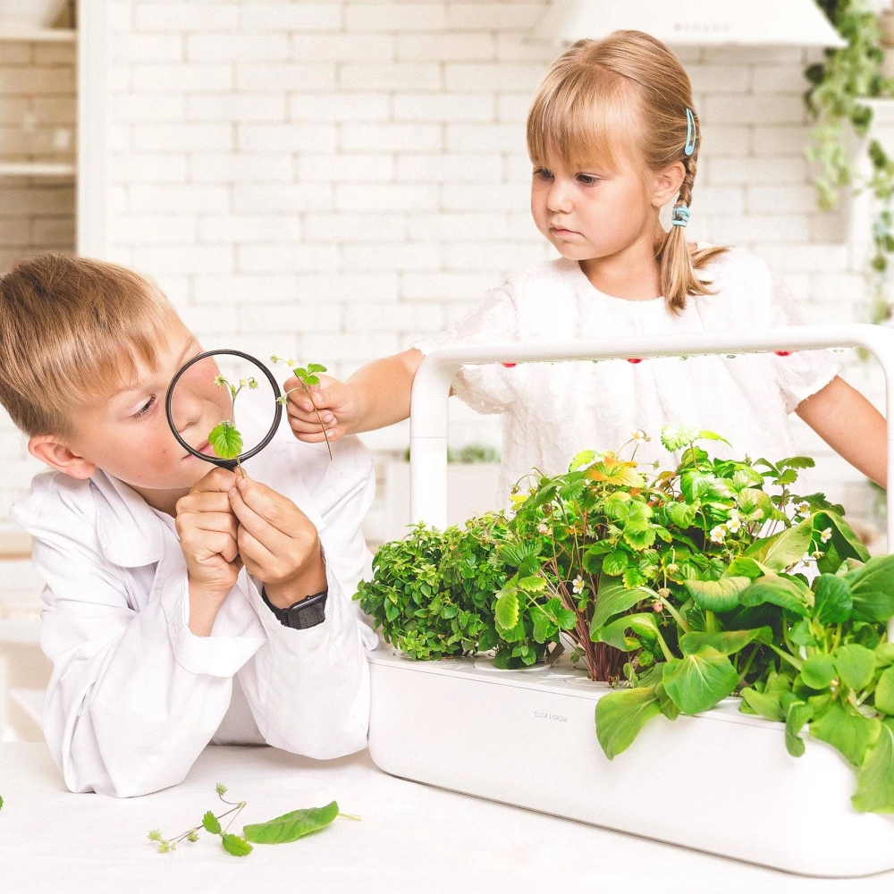 Click & Grow Complete Smart Garden 9 hydroponic vegetable garden kit