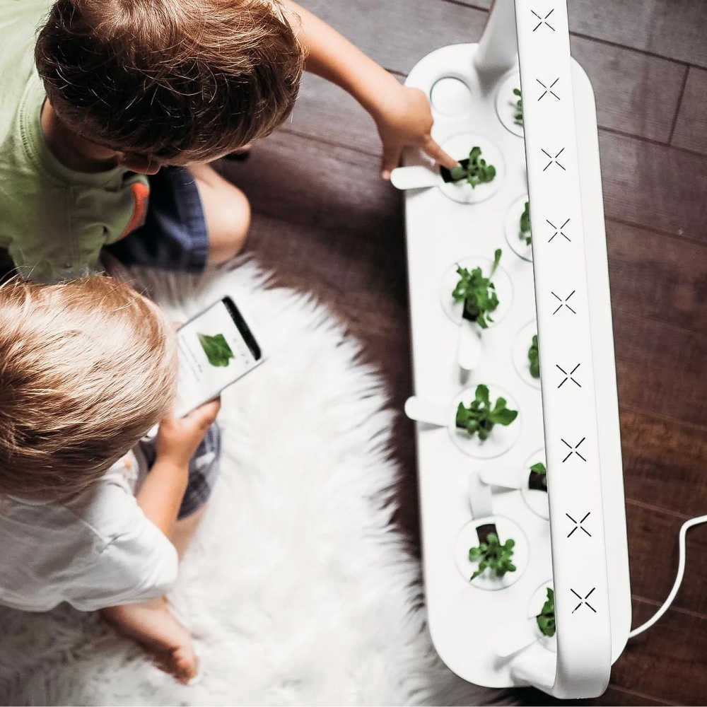 Click & Grow Kit completo orto idroponico Smart Garden 9