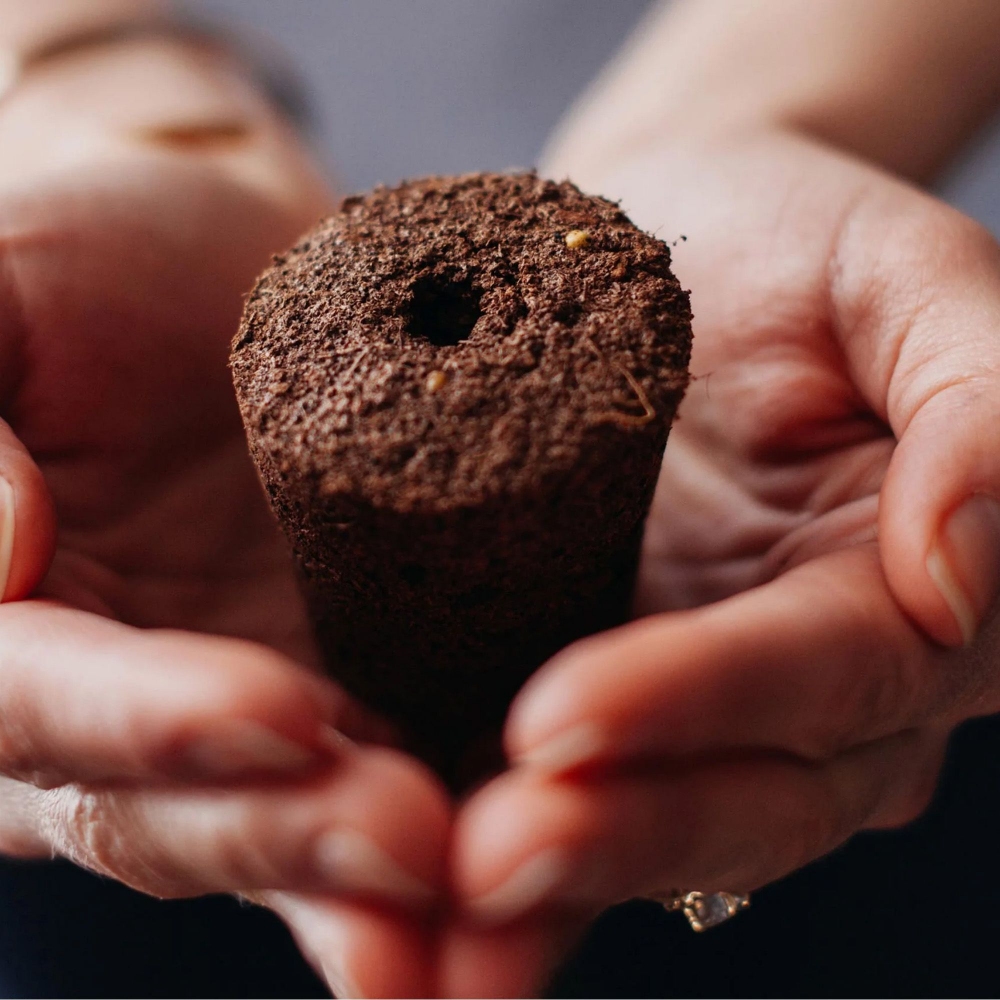 Click & Grow Kit completo orto idroponico Smart Garden 9