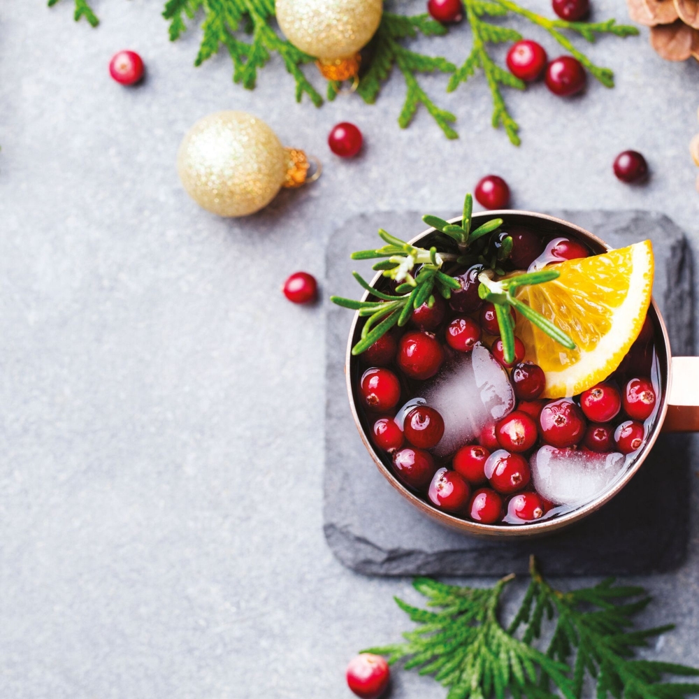 Paderno Moscow Mule Mug 50 cl