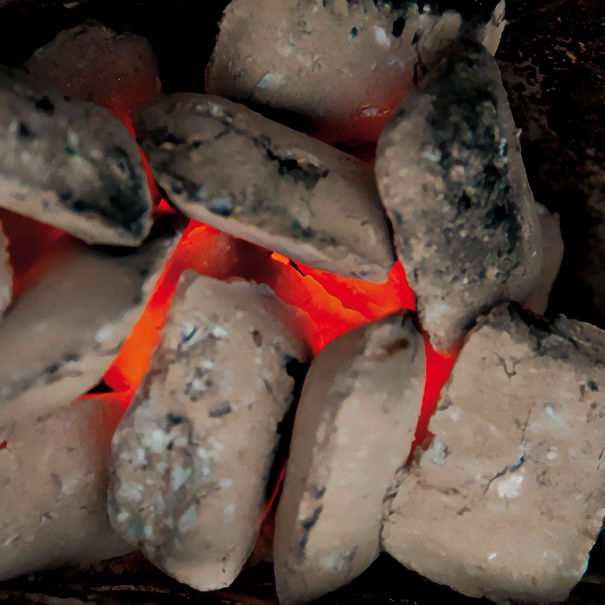 Broil King Ignition tablets 718.3003