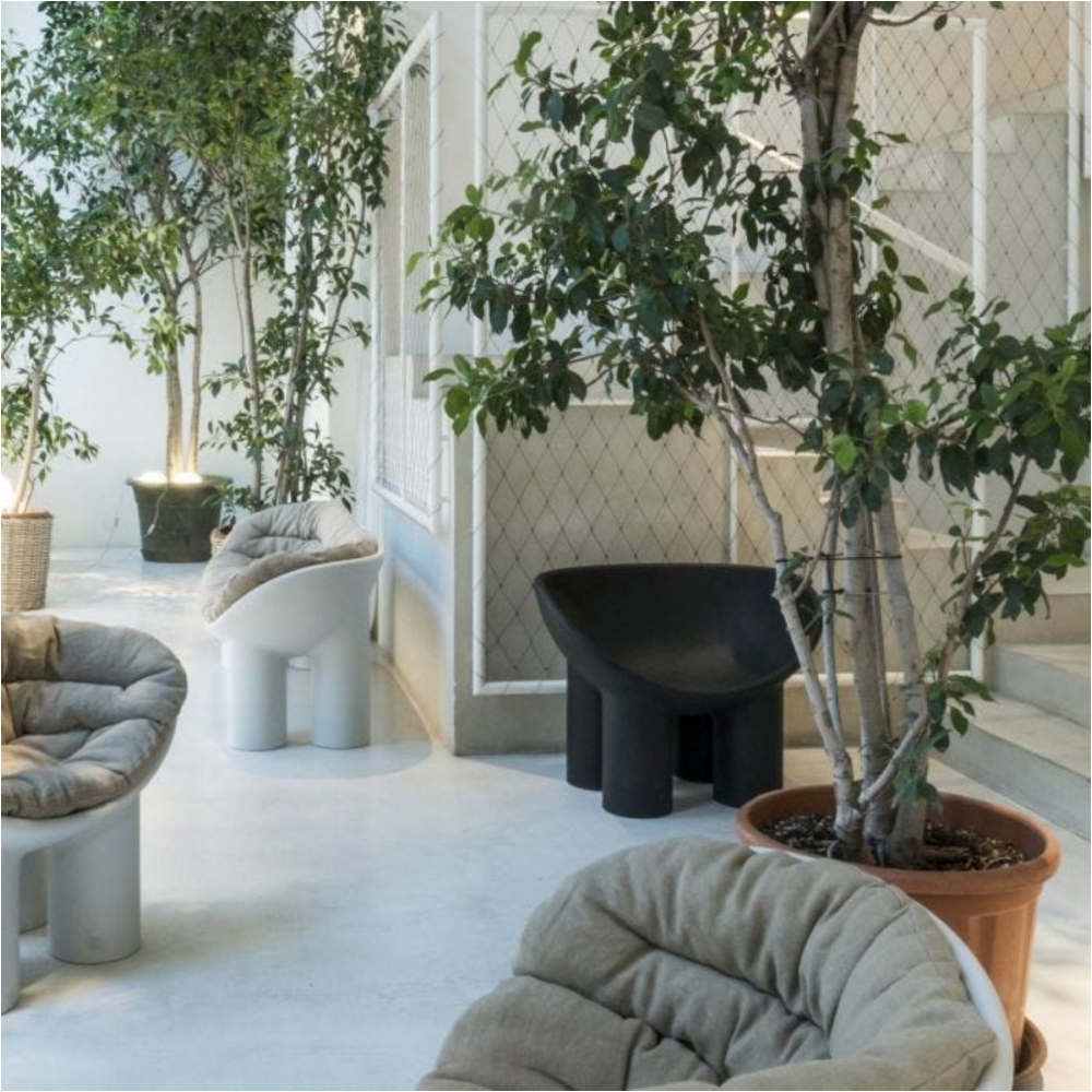 Driade Poltrona Roly Poly