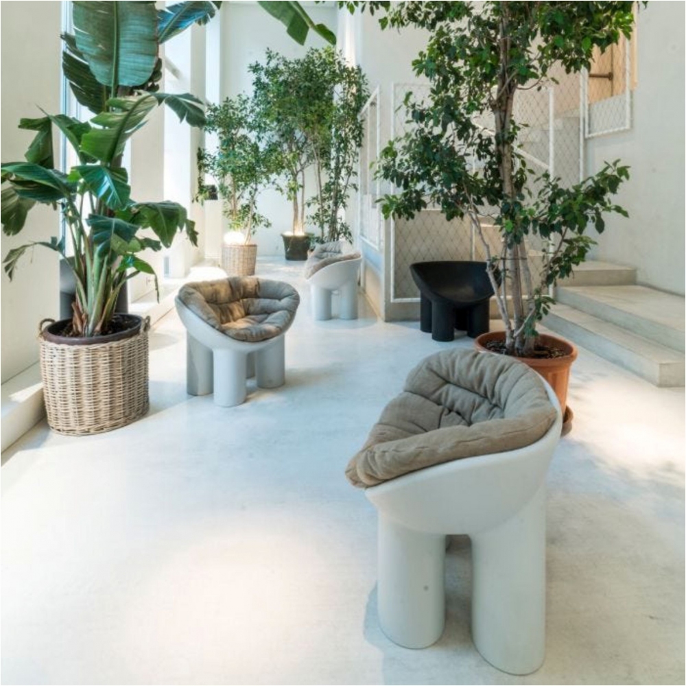 Driade Poltrona Roly Poly