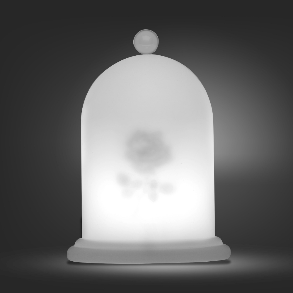 My Your Lampada da tavolo Light Tales Rose