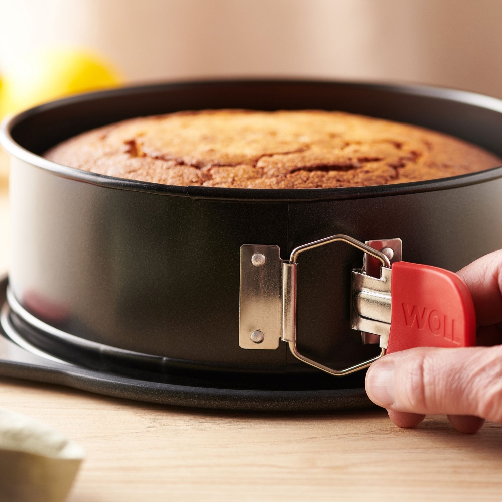 Woll Hinged mold Ø24x7h cm