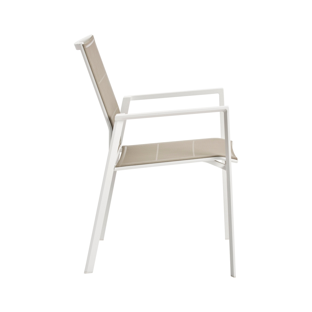 Diphano Selecta dining armchair