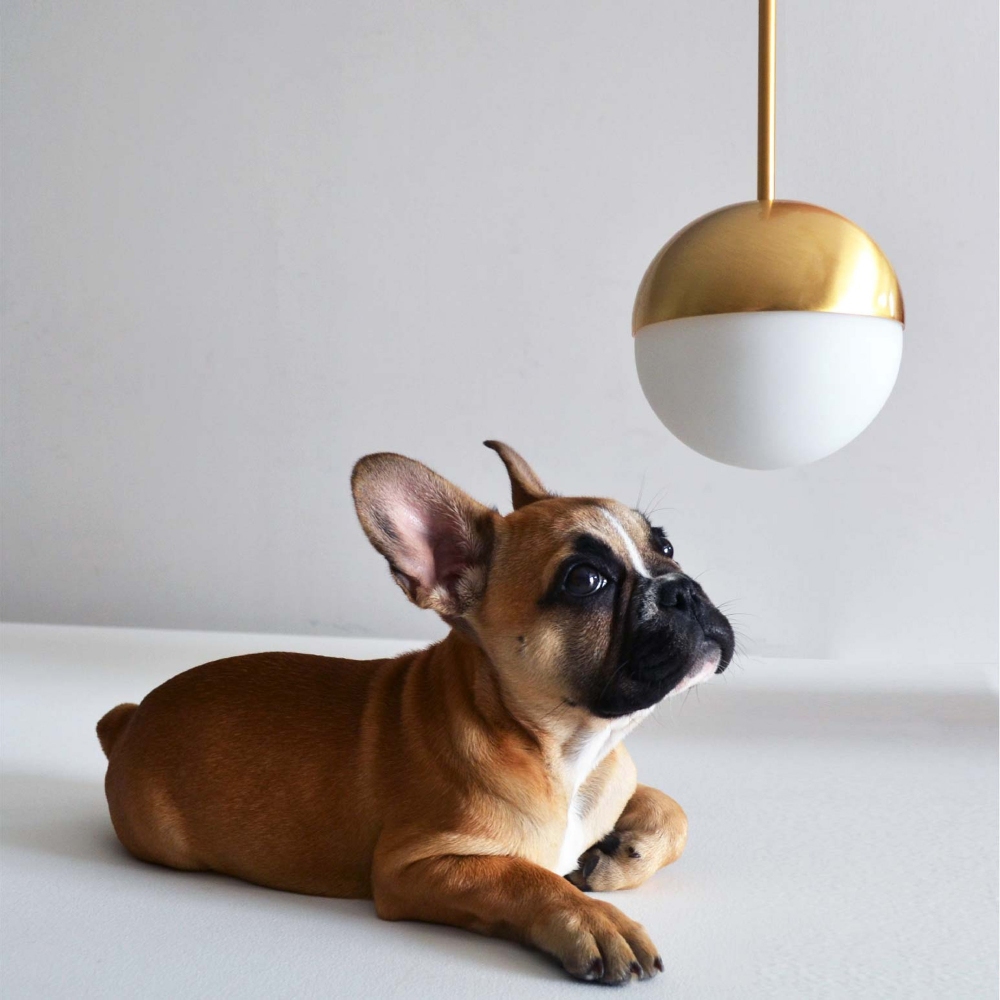 Fontana Arte Pallina pendant lamp