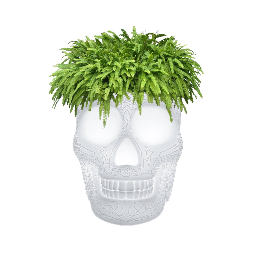 Scopri Mexico Planter Lamp Indoor Plug e tutta la collezione di Qeeboo su newpop il più innovativo e-commerce di Home Design.