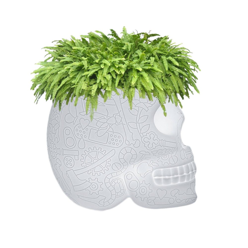 Mexico planter lamp indoor plug