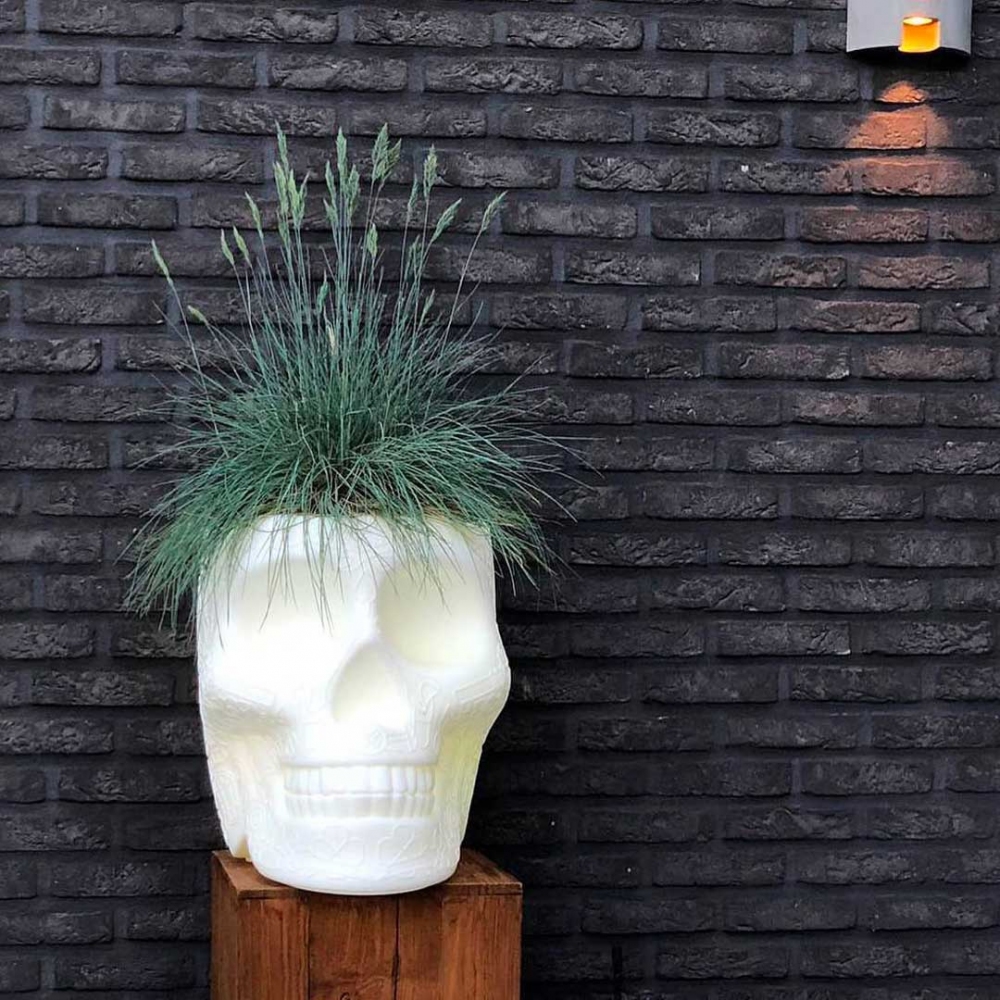 Scopri Mexico Vaso Small Planter e tutta la collezione di Qeeboo su newpop il più innovativo e-commerce di Home Design.