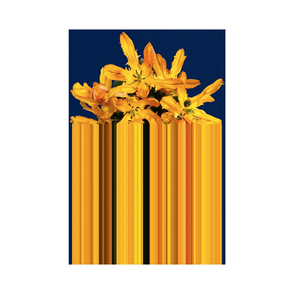 Qeeboo Tappeto Glitch Yellow...