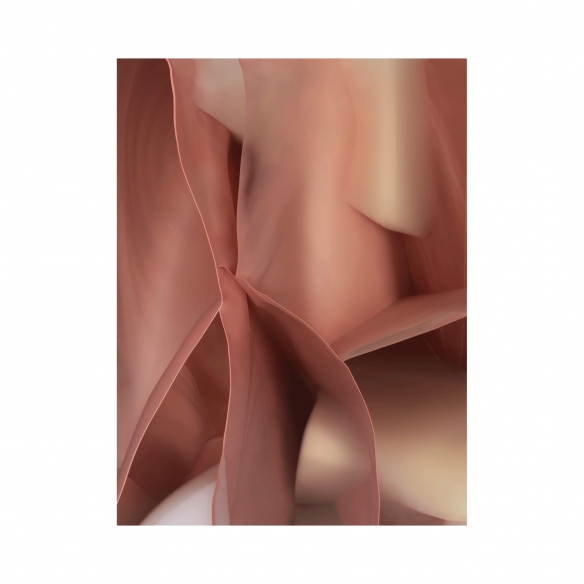 Qeeboo Tappeto Studio nucleo pink opal 3x4 mt