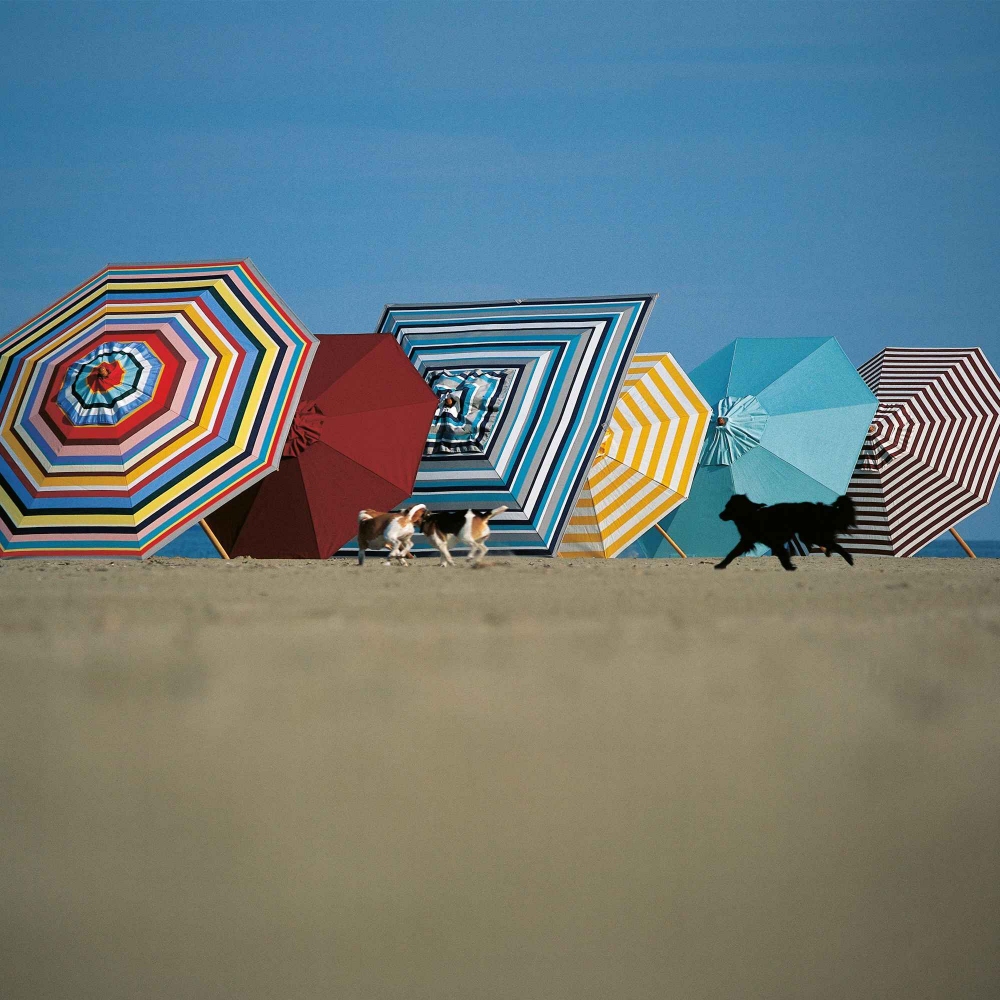 Weishäupl Ombrellone rotondo da giardino Klassiker - Base in cemento inclusa