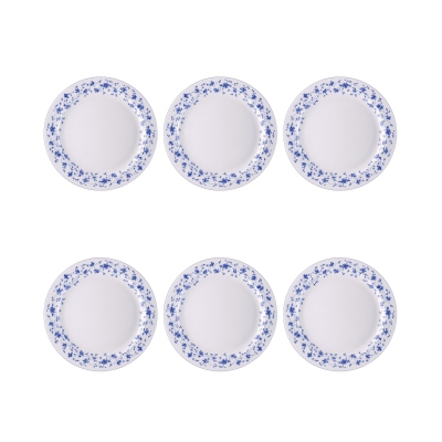 Rosenthal 6 piatti piani...