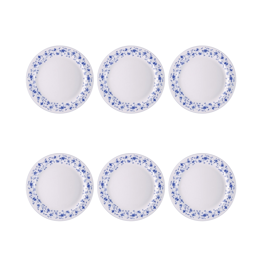 Rosenthal 6 piatti piani con falda...