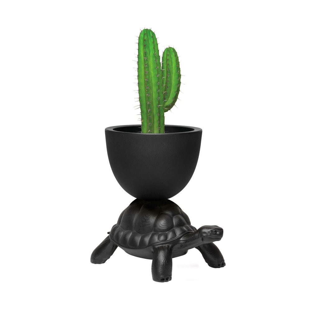 Qeeboo Turtle Carry Planter and Champagne Jar/Cooler
