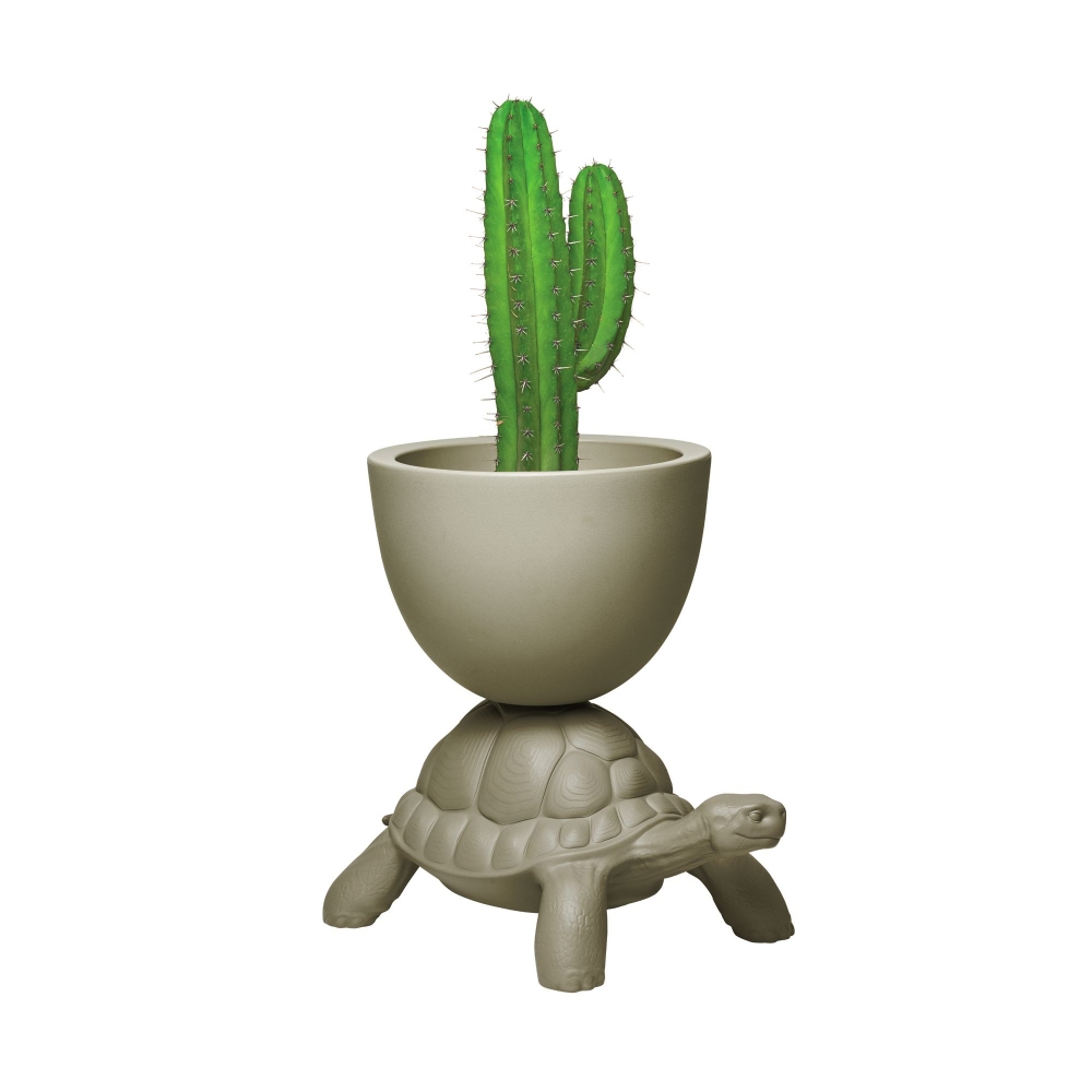 Qeeboo Turtle Carry Planter and Champagne Jar/Cooler