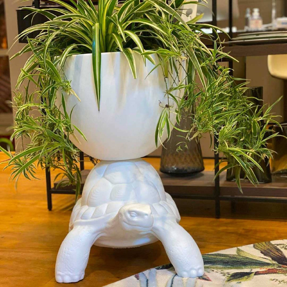 Qeeboo Turtle Carry Planter and Champagne Jar/Cooler