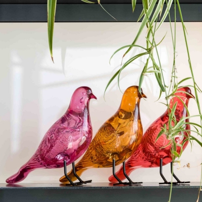 Sturm Milano Piccione...