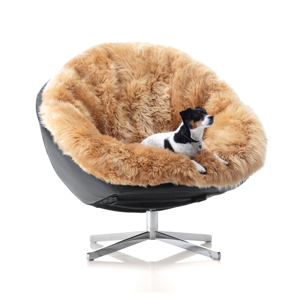 De Sede Poltrona DS-265 Coco