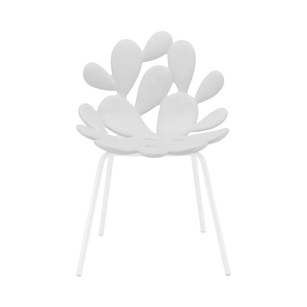 Qeeboo Set of 2 colored Filicudi chairs