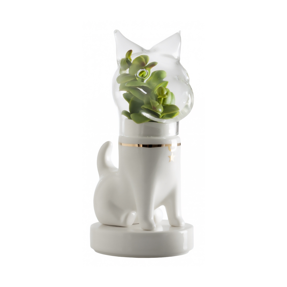 Bosa Scultura Dogsai con orecchie a...