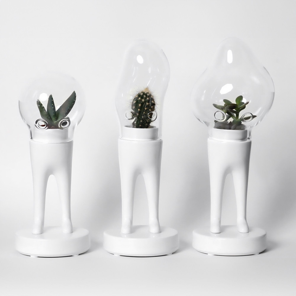 Bosa Domsai Dim Sculpture