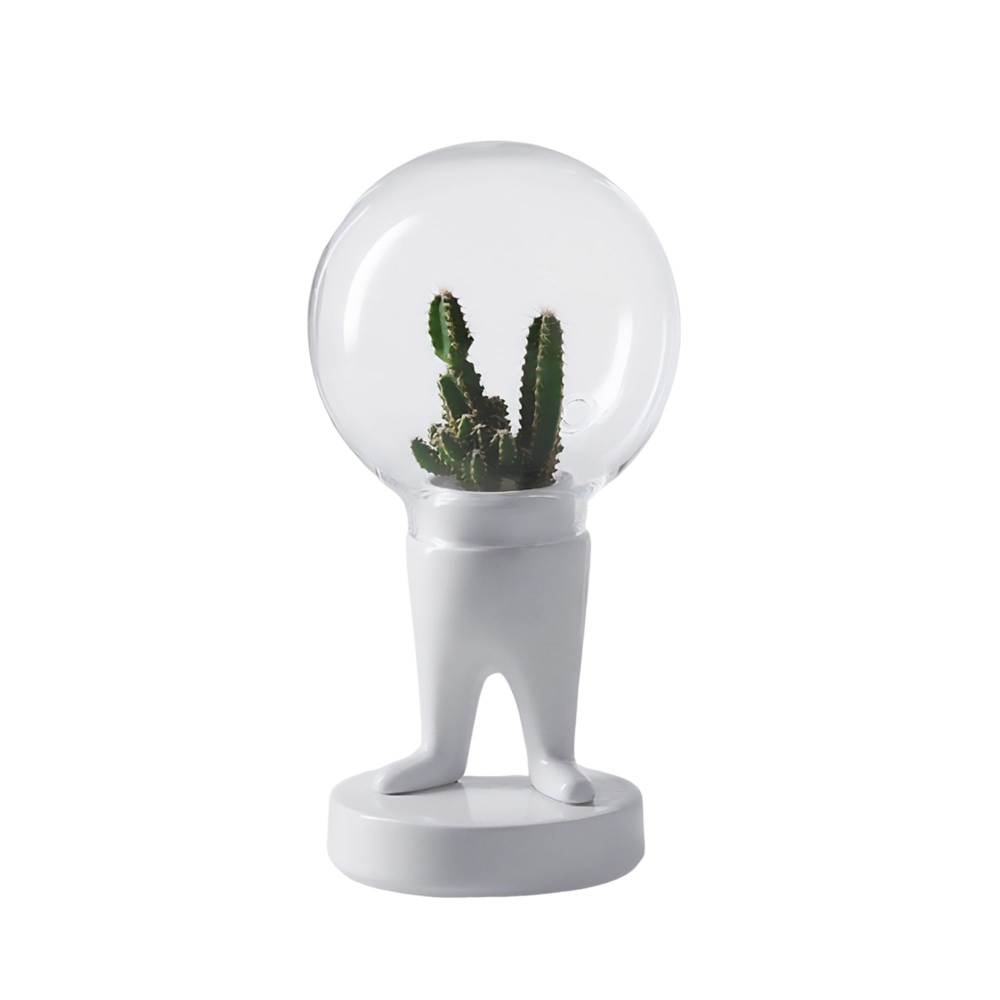 Bosa Scultura Domsai Hardy