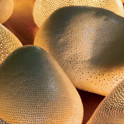 Bosa Sassi Luminosi Floor Lamp 2