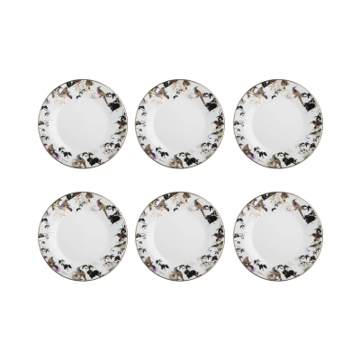 Roberto Cavalli  6 piatti...