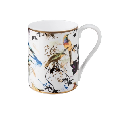 Roberto Cavalli Tazza...