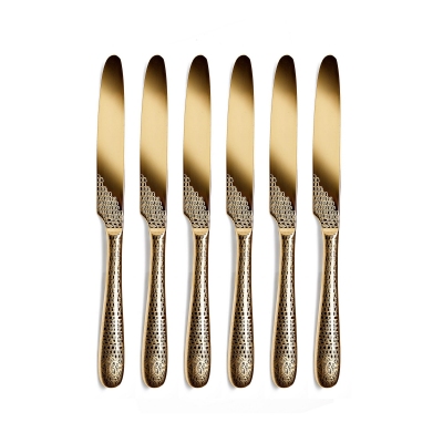 Roberto Cavalli Lizzard...