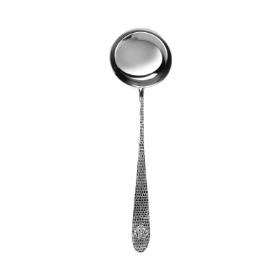 Roberto Cavalli Lizzard...