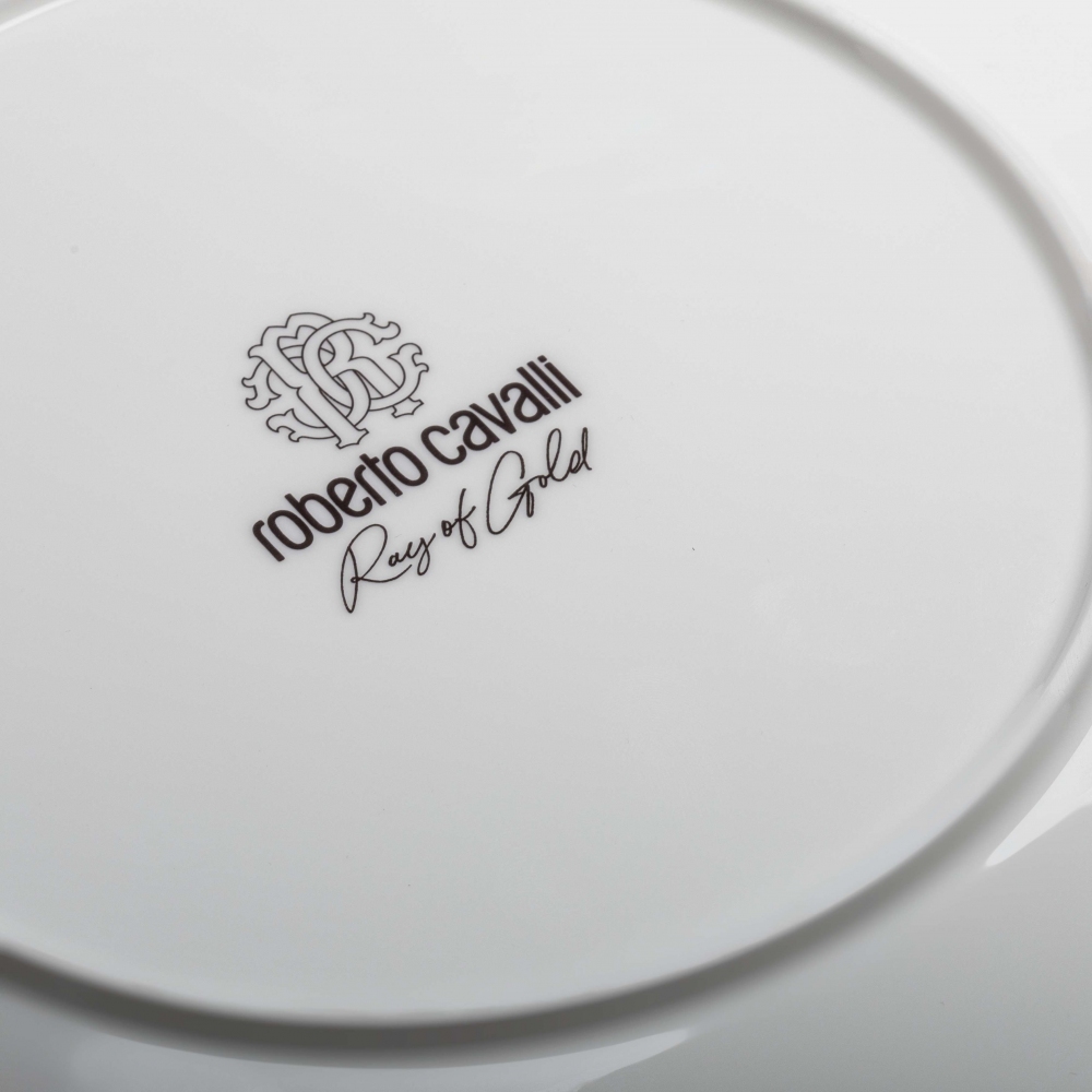 Roberto Cavalli Ray Of Gold Set of 6 dinner plates diam. 27,5 cm