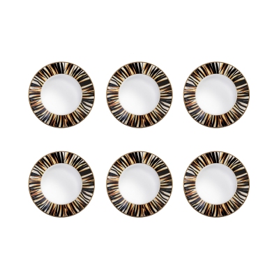 Roberto Cavalli  6 piatti...