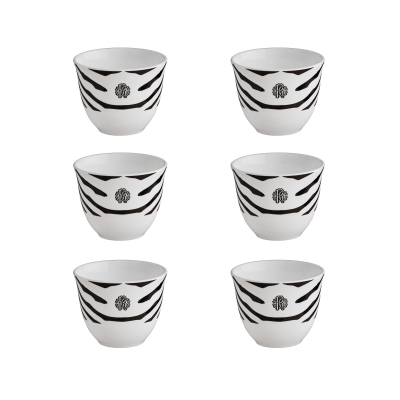 Roberto Cavalli Zebrage set...