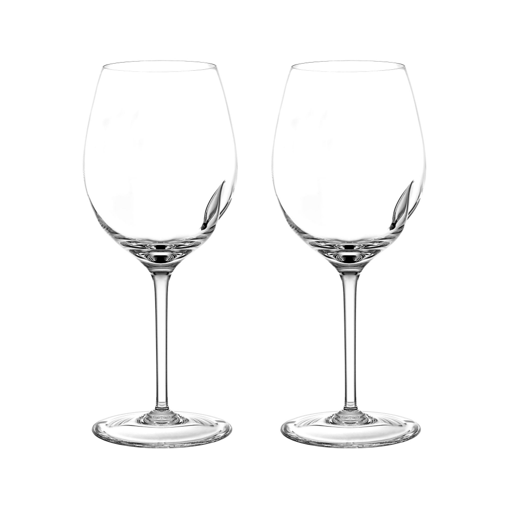 Arnolfo di Cambio Degustazione Technical Red Wine Goblet Set
